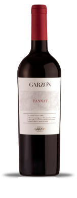 2013 Garzon Tannat