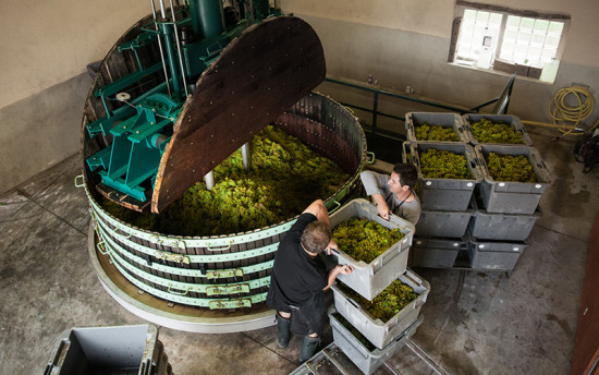 Champagne Barrat-Masson Coquard wine press at work