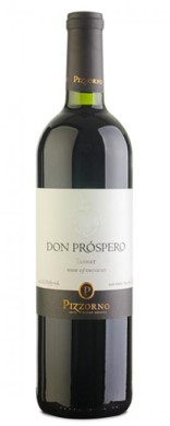2012 Pizzorno Don Prospero Tannat