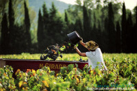 Provence Harvest